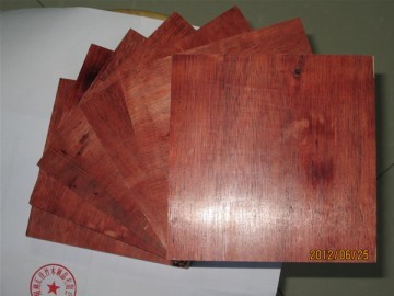 汇佳竹木制品优惠的建筑模板【供应】--百色模板
